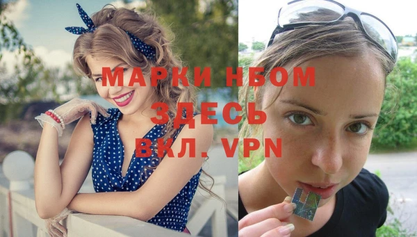 прущие грибы Магадан