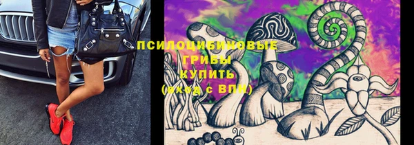 прущие грибы Магадан