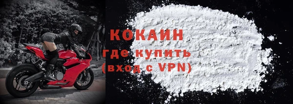 прущие грибы Магадан