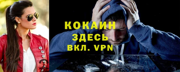 прущие грибы Магадан