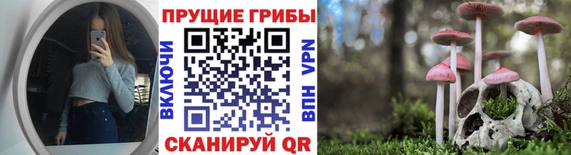 наркотики  Зуевка  Галлюциногенные грибы прущие грибы 