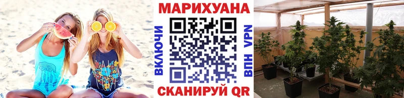 Бошки Шишки семена Зуевка